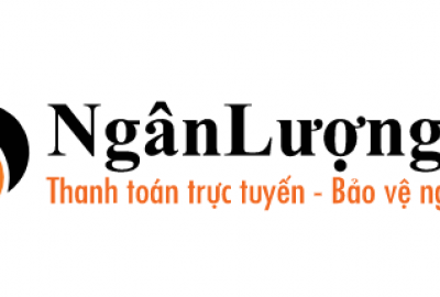 Ví điện tử ngân lượng
